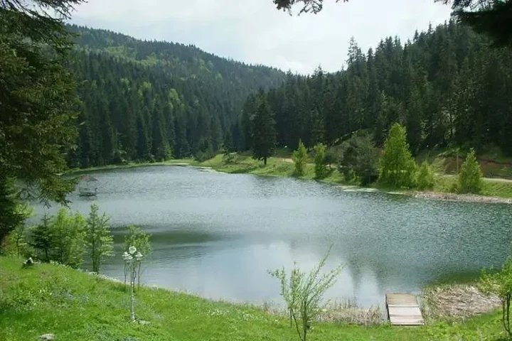 16. Ayancık Akgöl