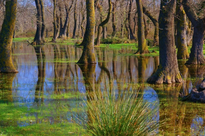 2. Kızılırmak Deltası - Kuş Cenneti