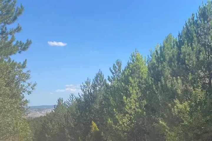 17. Kütahya Kent Ormanı
