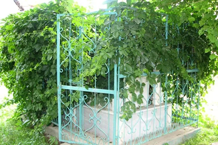 19. Maşuka Bitlisi (Muştak Baba) Türbesi