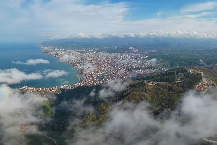 Ordu