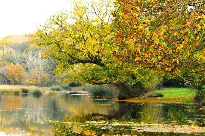 10. Sarıkum Gölü Tabiat Parkı